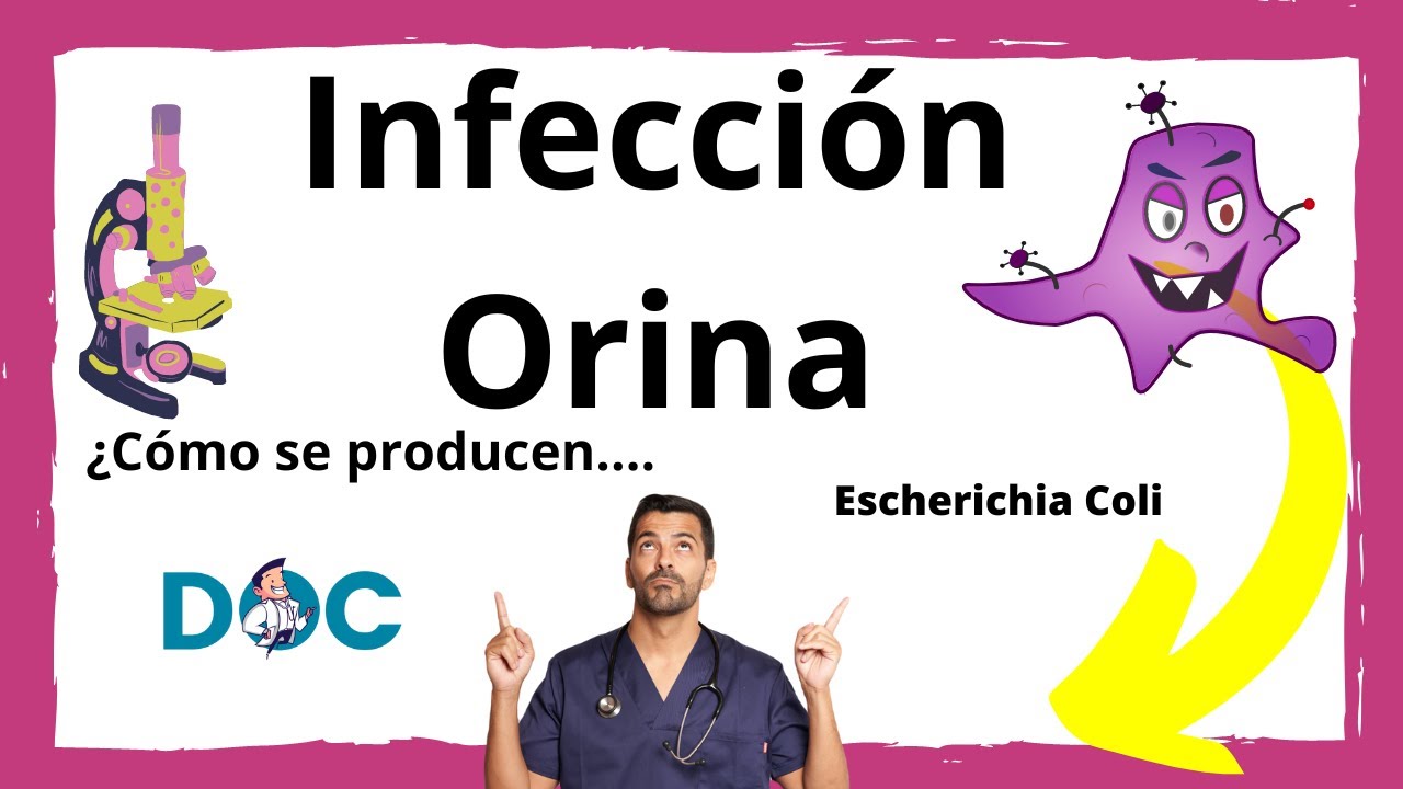 Por qué me da INFECCIÓN URINARIA. Causas y cómo se producen. Escherichia Coli.