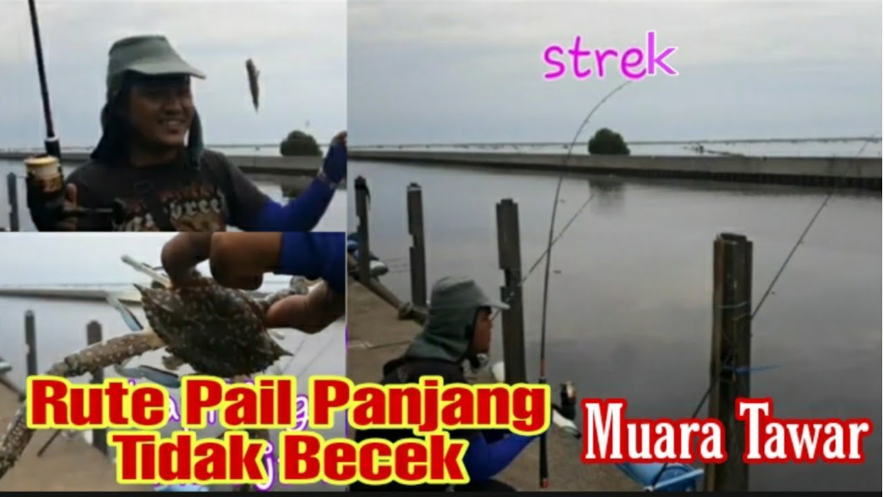 Rute ke Pail Panjang yang Tidak Becek || Mancing Muara Tawar