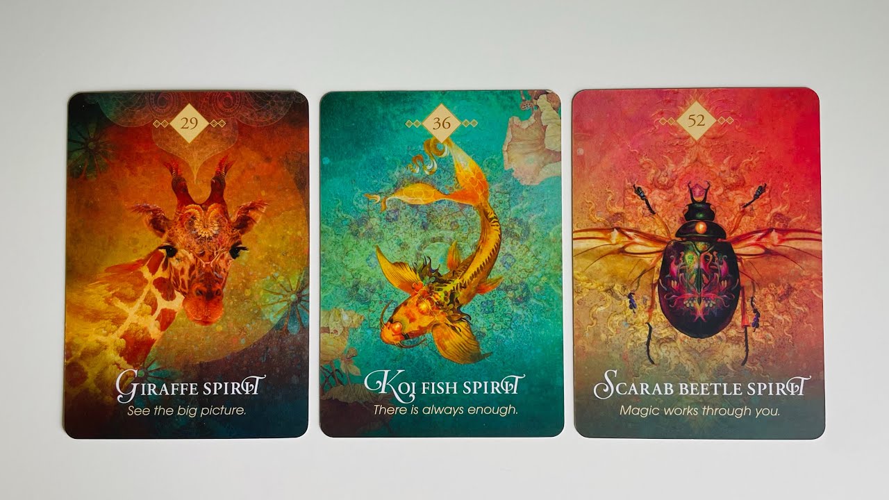 Who is Coming Toward You and Why - Pick a Card - Timeless Tarot