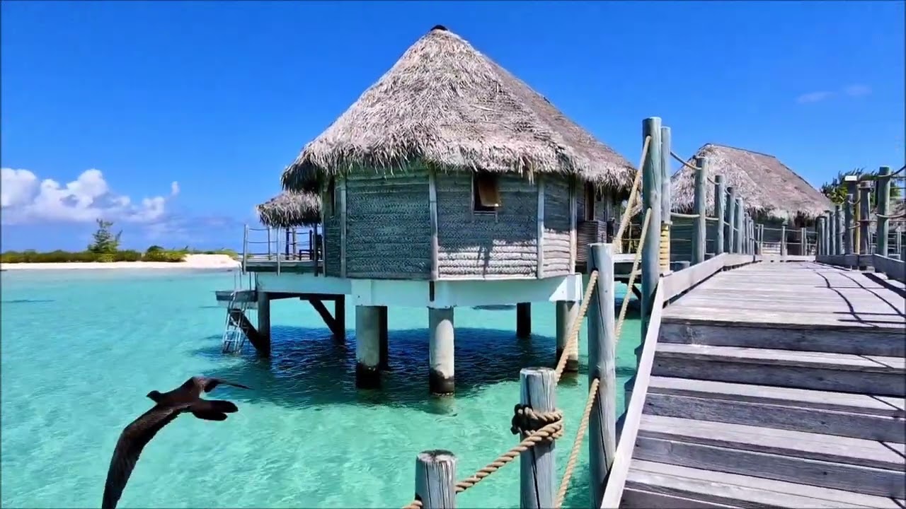 Tikehau : Pearl Beach Resort