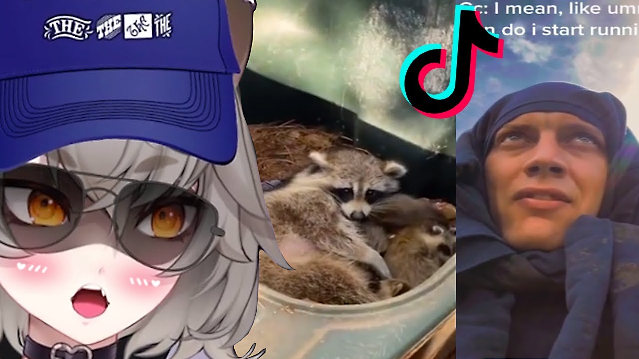 OH GOD.. What Just Happened??? Snuffy reacts to Tik Toks