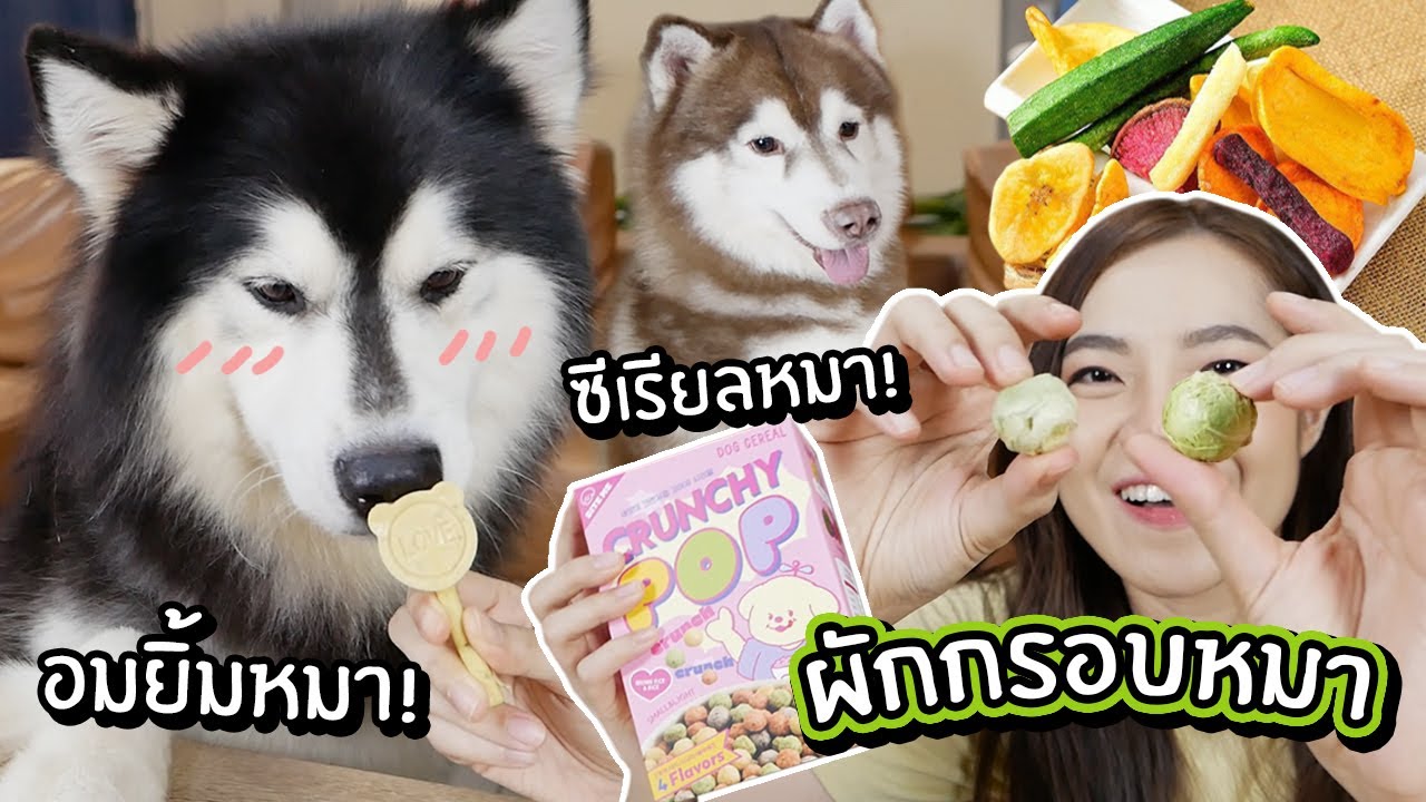 ผักกรอบหมา! อมยิ้มหมา! ซีเรียลหมา! // รีวิวขนมหมาแปลกๆ