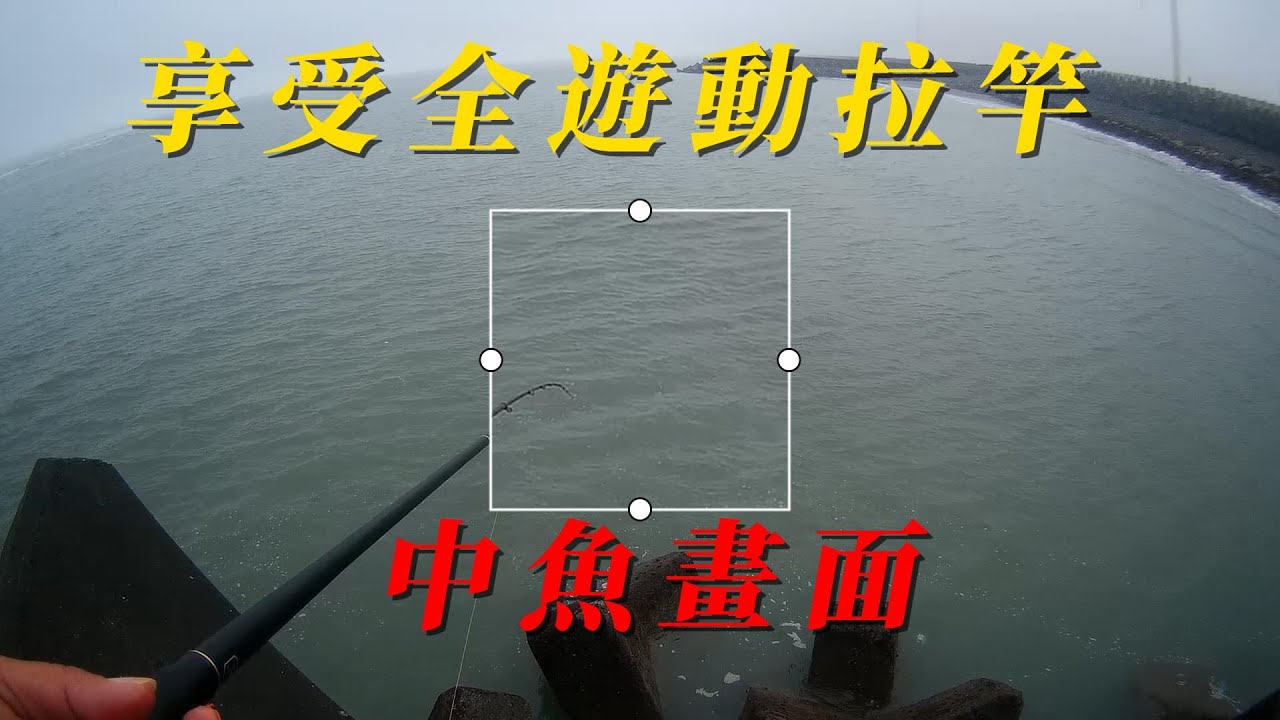 黑魂阿波00號全沉釣法勾誘鯛練餌中魚畫面