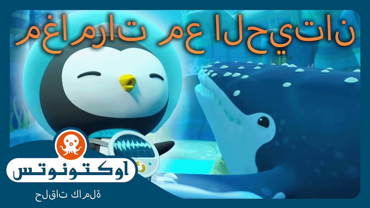 أوكتونوتس | 🤿 مغامرات مذهلة مع الحيتان 🐋 | اليوم العالمي للحيتان | حلقات مجمعة