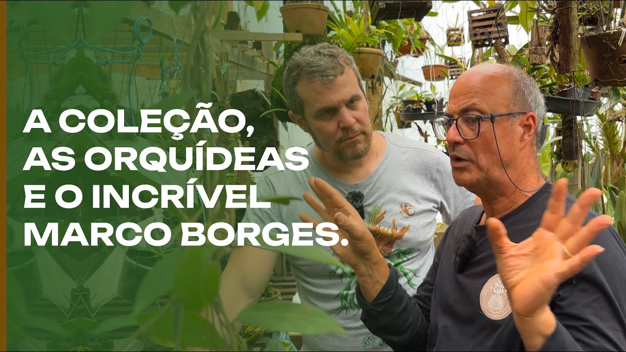A coleção de plantas e orquídeas do incrível Marco Borges.