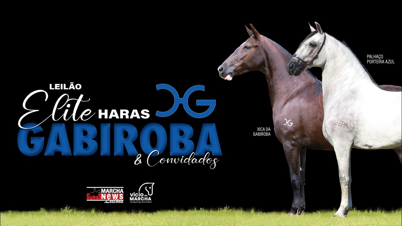 LEIL&Atilde;O ELITE - HARAS GABIROBA E CONVIDADOS