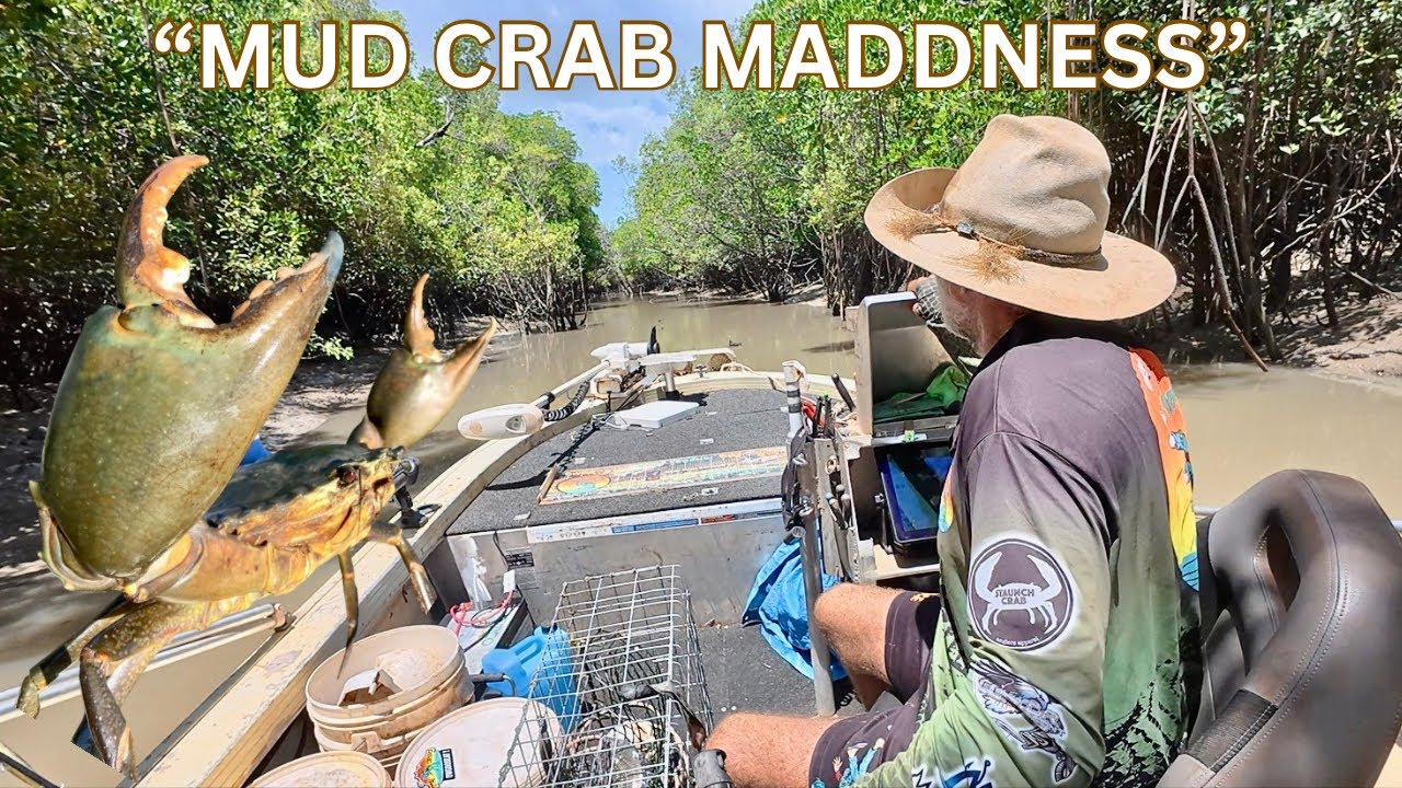 WET SEASON.. “MUD CRAB”.. MAYHEM.. NORTHERN TERRITORY..