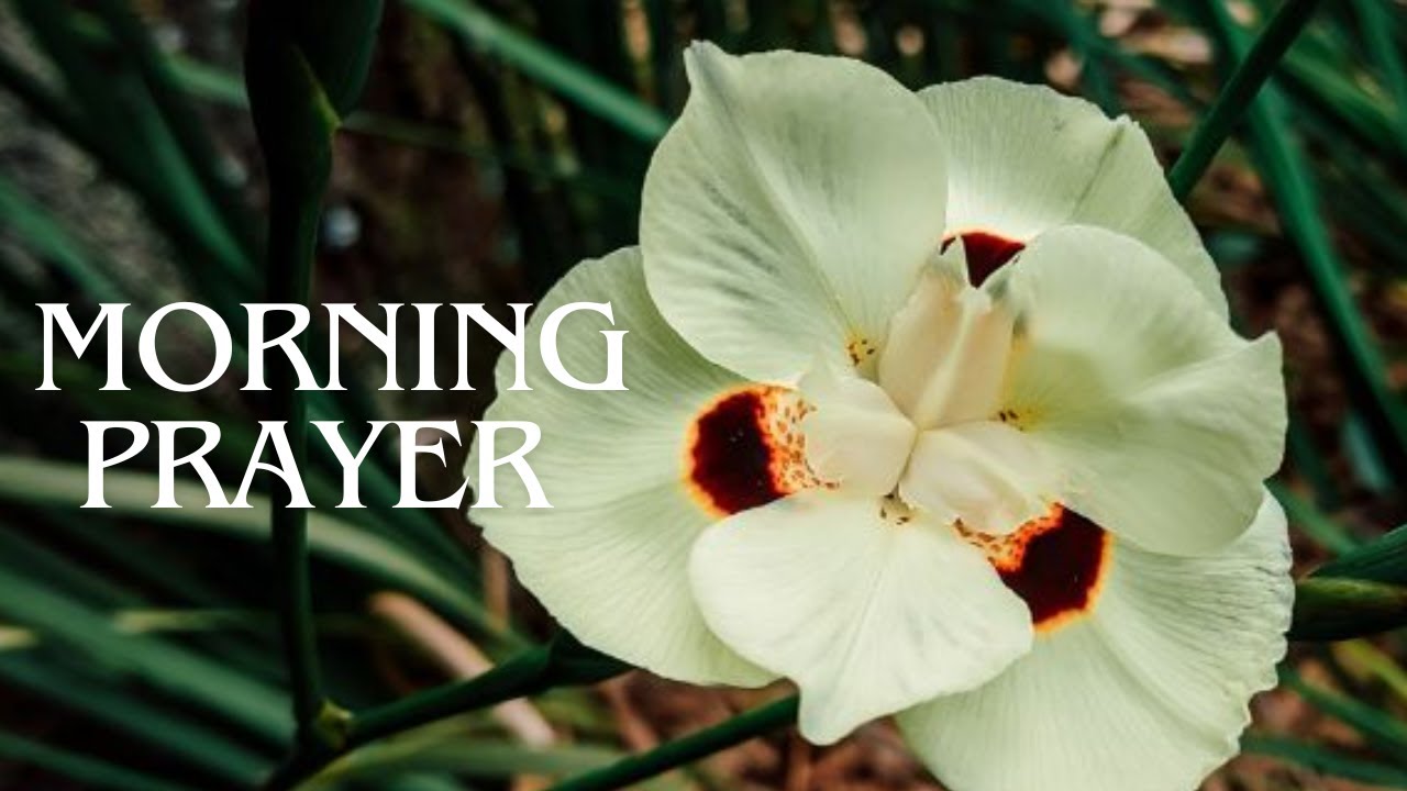 MORNING PRAYER - 🌿WE HUMBLE OURSELVES, FAST, AND TRUST IN YOUR HAND