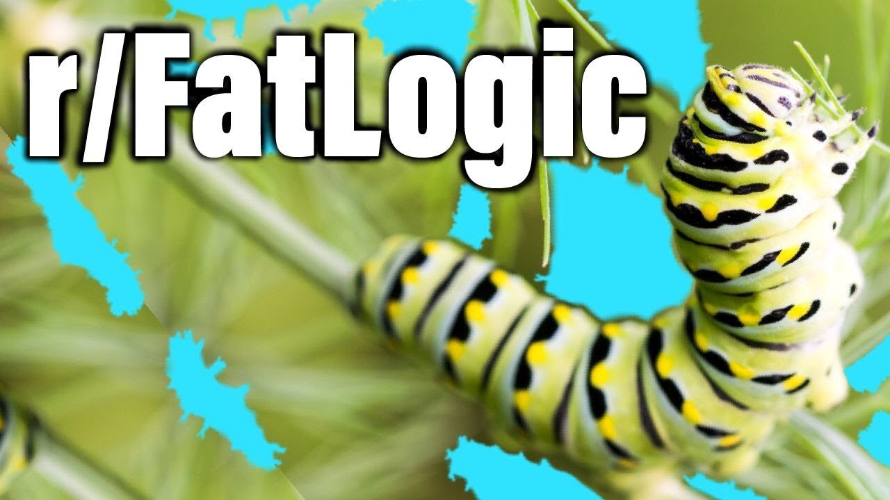 r/FatLogic | Эпизод 93 | гусеница