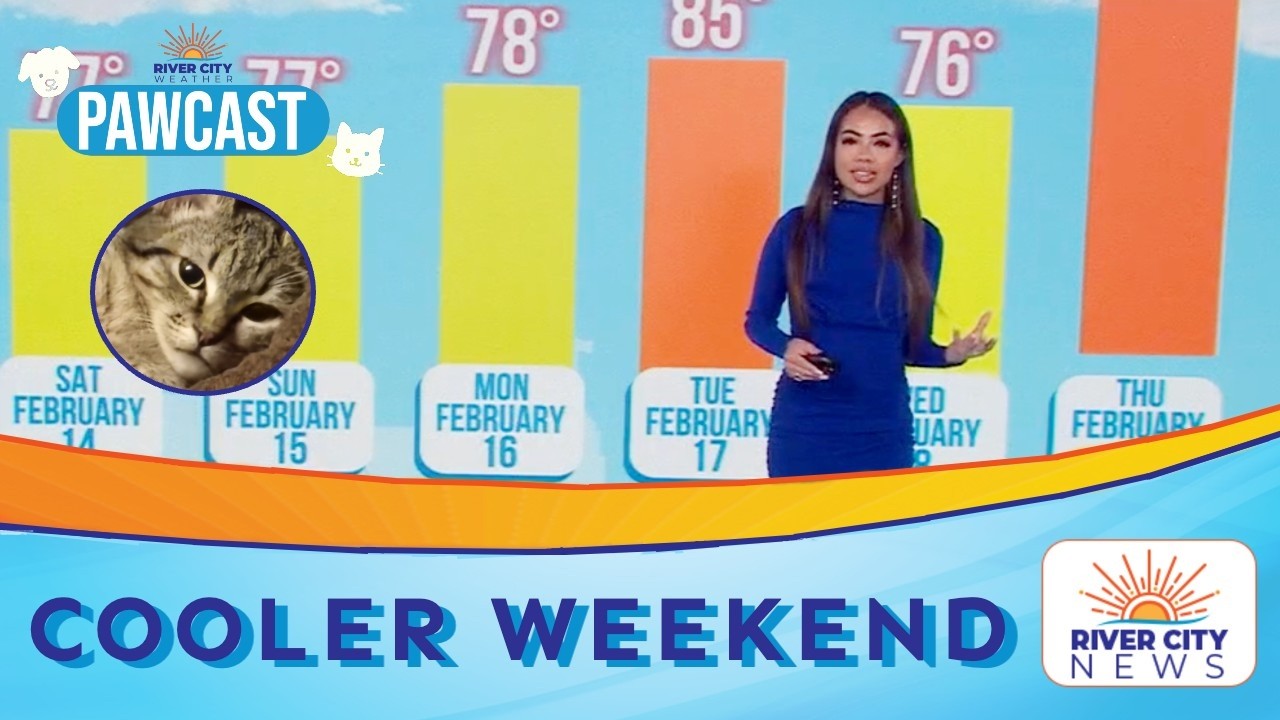 PAWCAST: Foggy Morning, Cooler Weekend Ahead