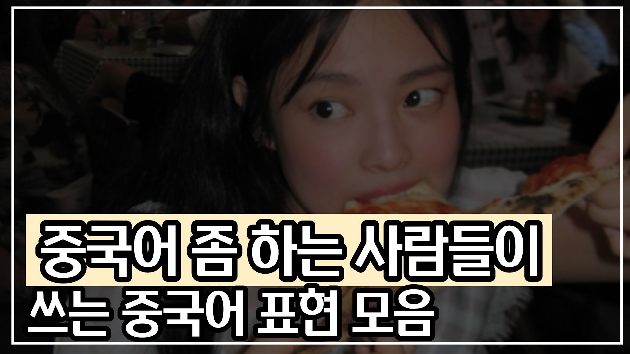 중국어 회화 | 중국어 조금 하는 사람들이 사용하는 표현 30문장 zip