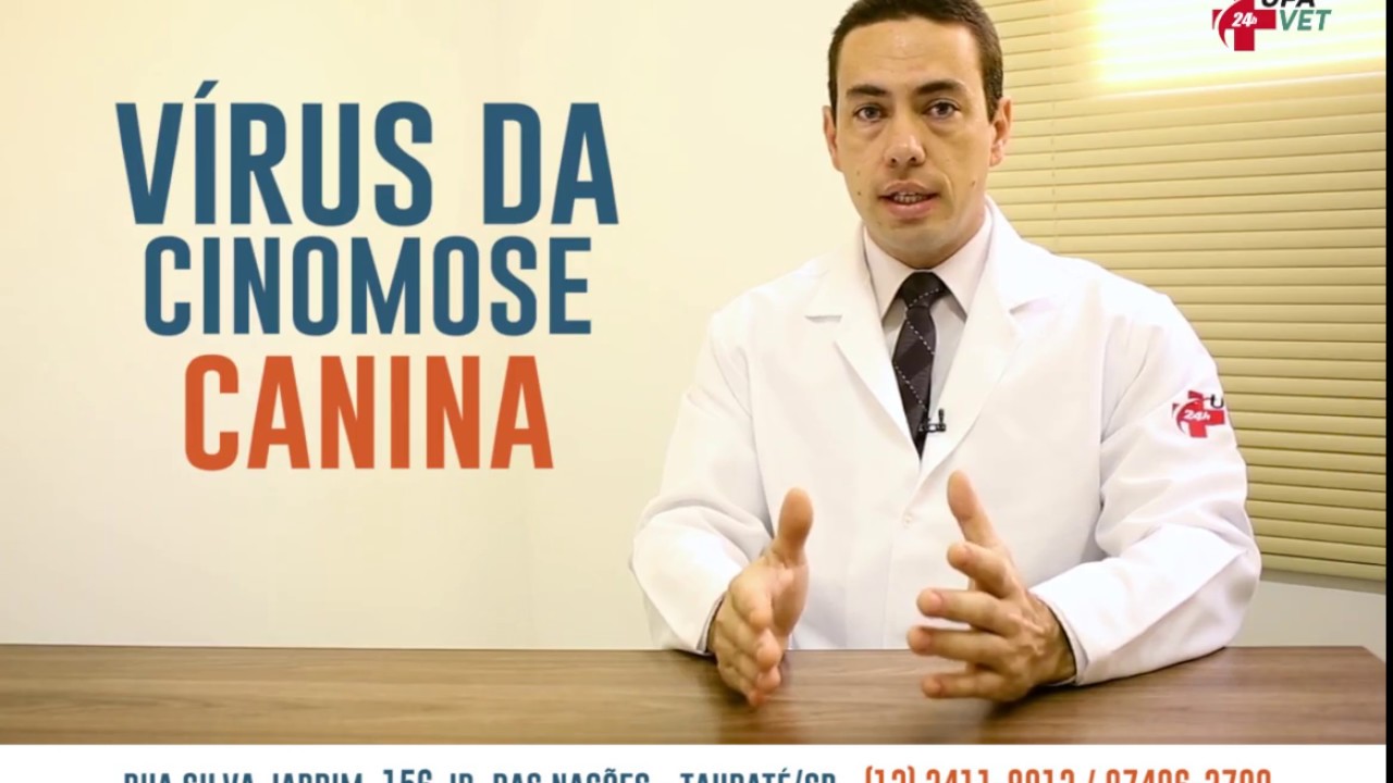 Cinomose Canina todo cuidado é pouco!