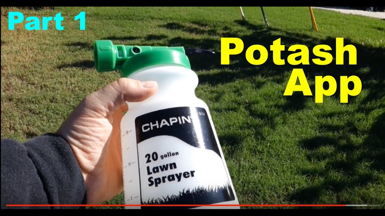 Part1: Adding Potassium or Potash to the Lawn