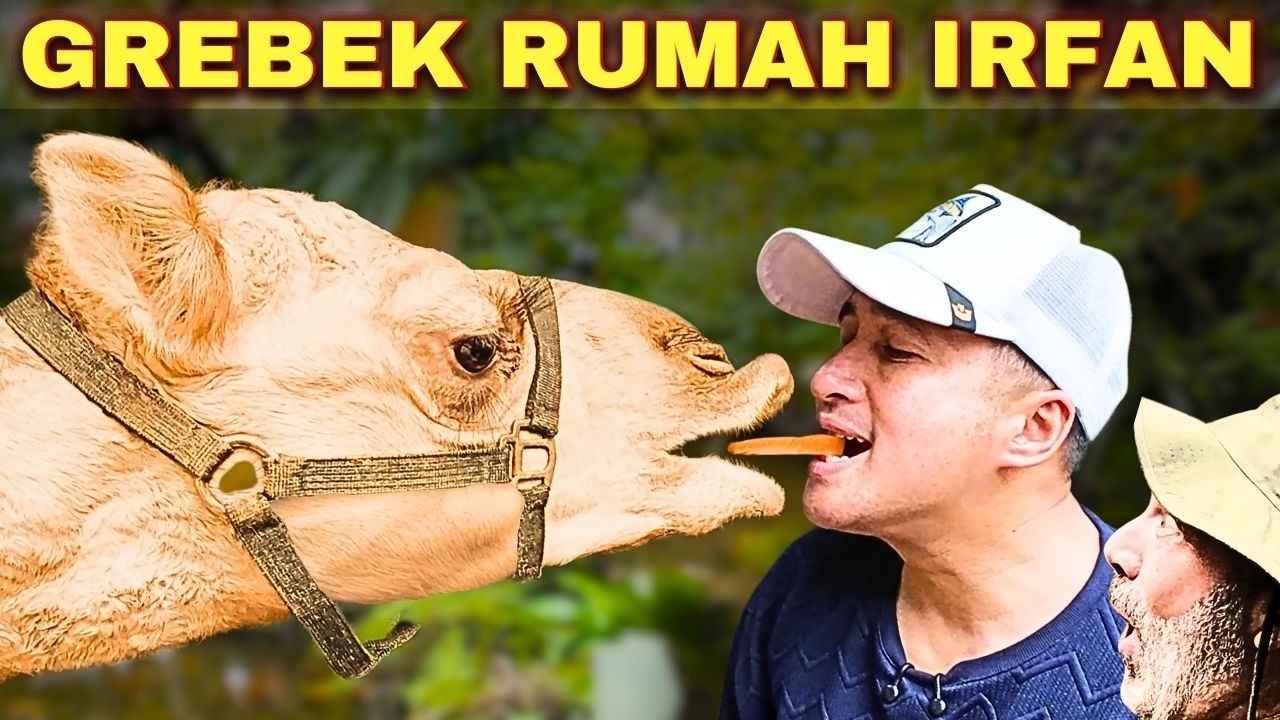 Внутри частного зоопарка Ирфана Хакима 🇮🇩