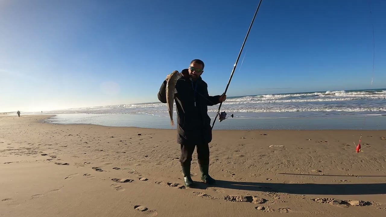 Picada en directo y doblete de lubinas en la fontanilla surfcasting