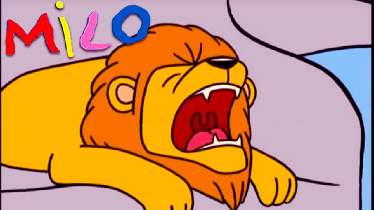MILO - Les OEUFS en chocolat, la TETE en l'air, Maître MILO | DESSIN animé pour les ENFANTS