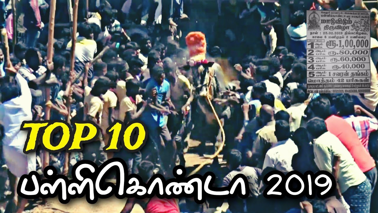 பள்ளிகொண்டா 2019 || TOP 10 காளைகள் ரன்னிங் வீடியோ 🔥 #pallikonda #2019 #Pallikonda2019 #top10