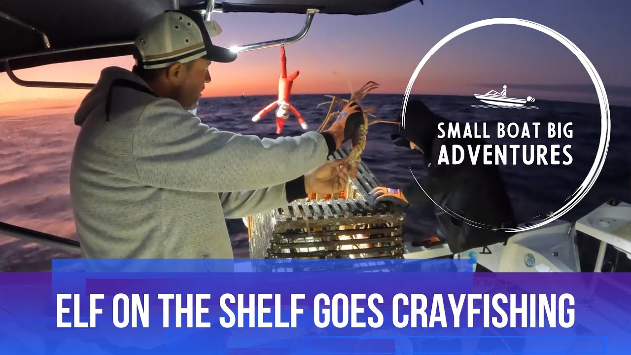 Ещё один день, ещё один мешок с раками! Совместно с Elf on the Shelf