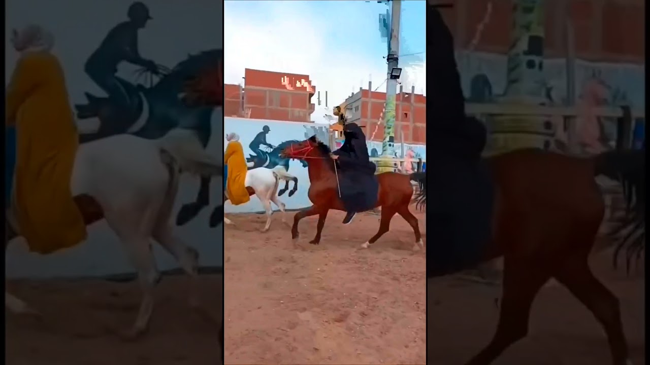 bareback horse riding practice by hijabi lady #viralvideo #horse #horseriding #equestrian