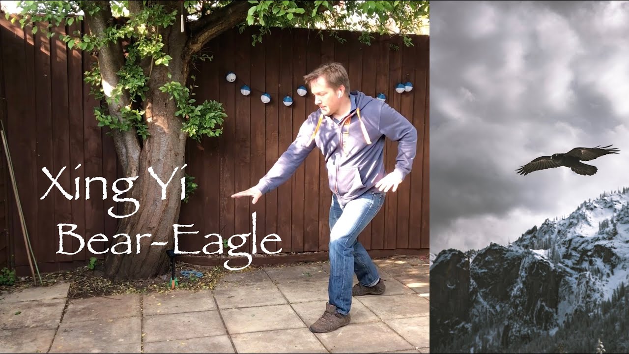 Bear-Eagle (Xiong-Ying): Xing Yi Lockdown series #2: