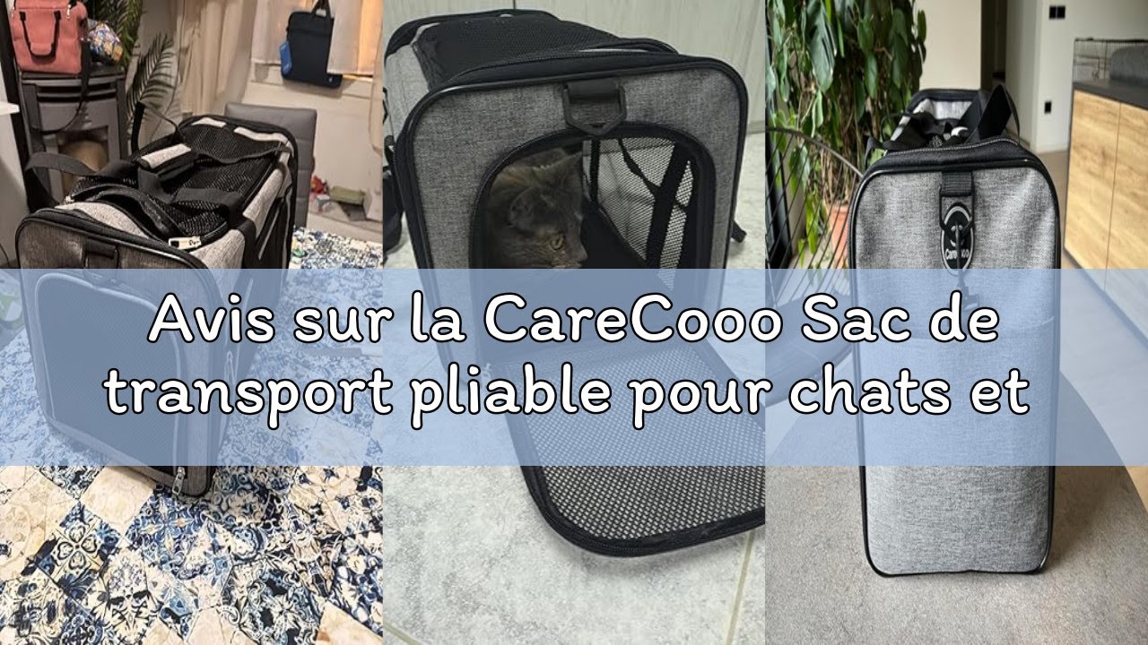 Avis sur la CareCooo Sac de transport pliable pour chats et petits chiens jusqu'à 10 kg – Sac de tra