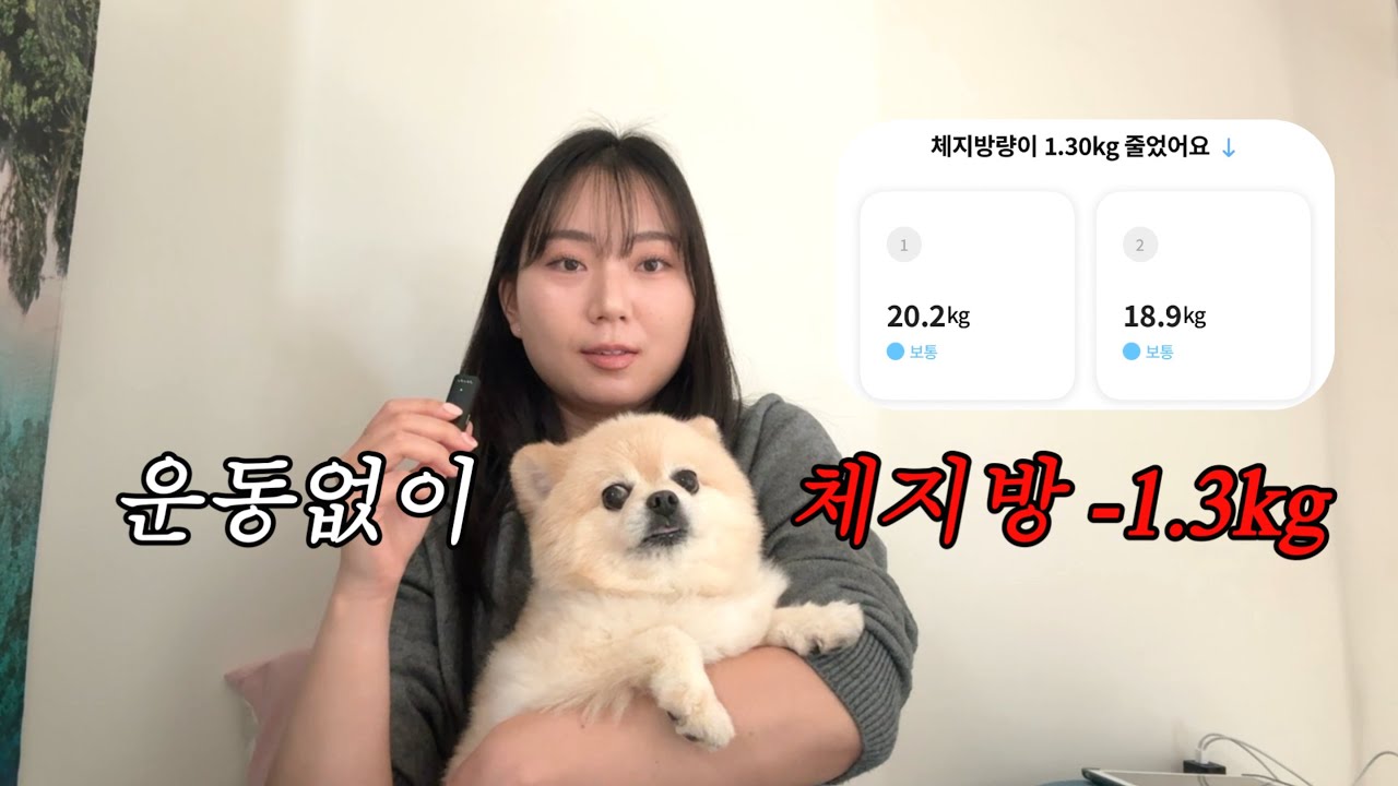 고기 왕창 먹고 운동 없이 '체지방만' 1.3kg 뺐어요! 😎 - 저탄고지/키토식단/다이어트 일주일 후기