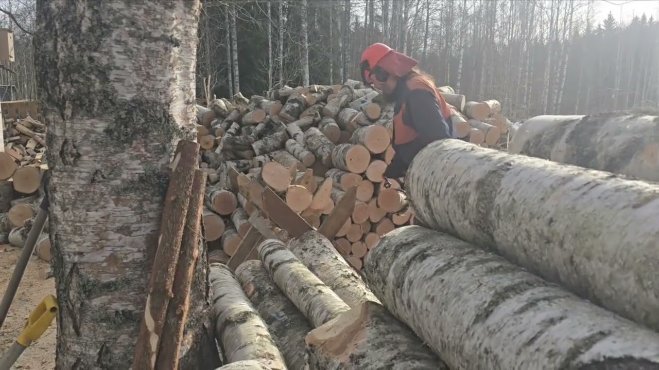Husqvarna jää tänään kesälomalle. Vimmattua sahausta!