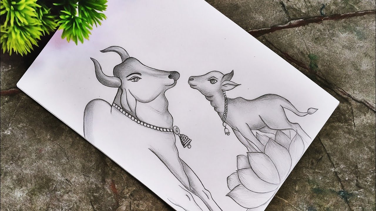🐄 Cow & Calf Love 💕| Beautiful Pencil Sketch Art ✨
