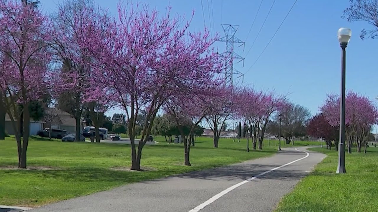 Stockton to install solar-powered lights to combat copper theft