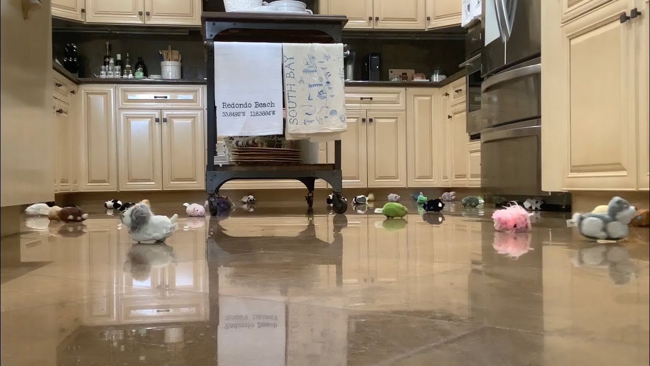 Zhu Zhu Pet Chaos In The Kitchen (36 Zhu Zhu Pets Running At Once)
