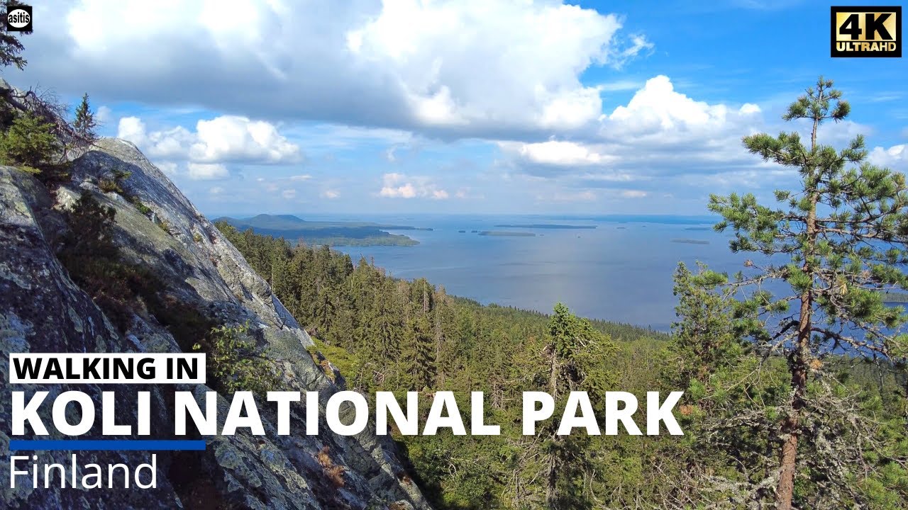 Beautiful Finnish National Landscapes - Walking on the top of Koli National Park