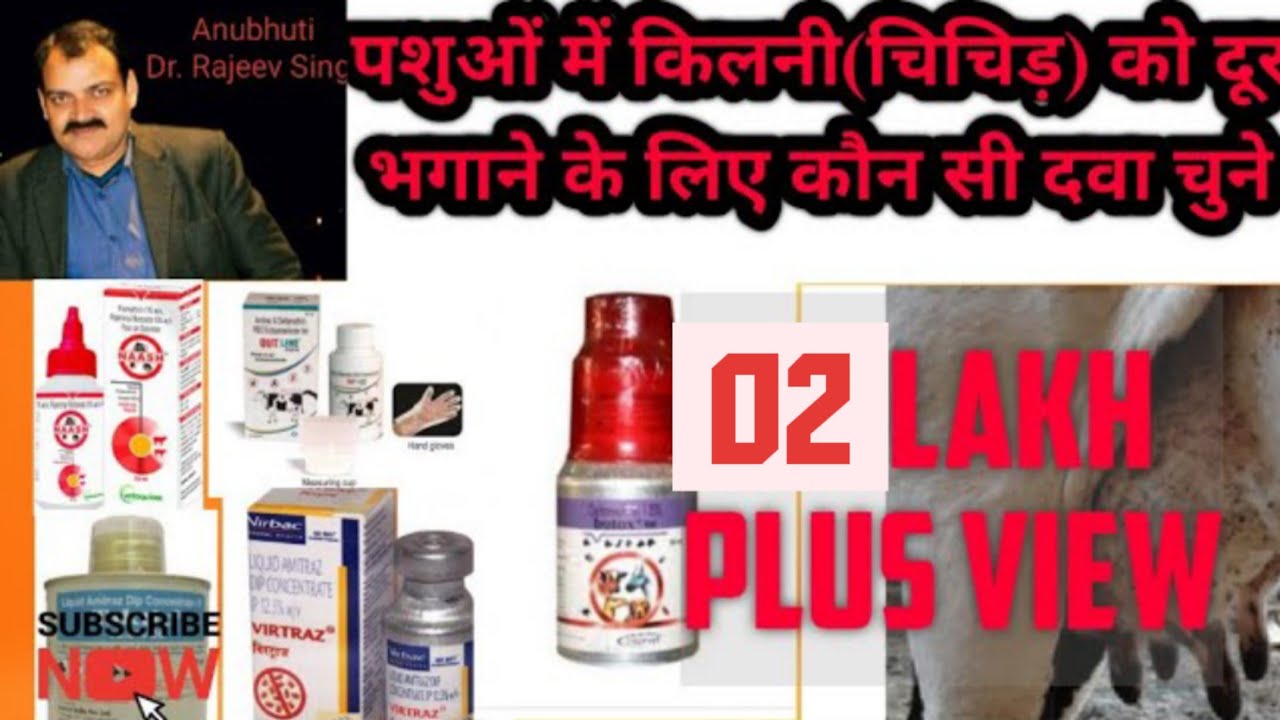 Ticks infestation in animals and its treatment(टिक्स/ किलनी /चिचड़ भगाने की सबसे असरदार दवा)
