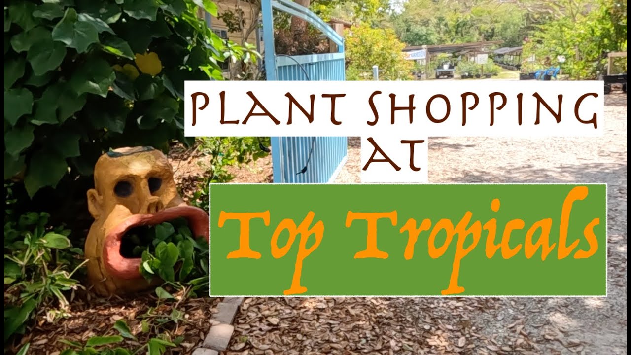 Top Tropicals Nursery Tour