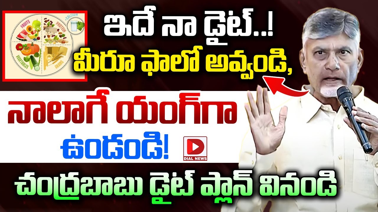 ఇదే నా డైట్..! మీరూ ఫాలో అవ్వండి..! CM Chandrababu Shares Diet Plan | Food Habits | Dial News