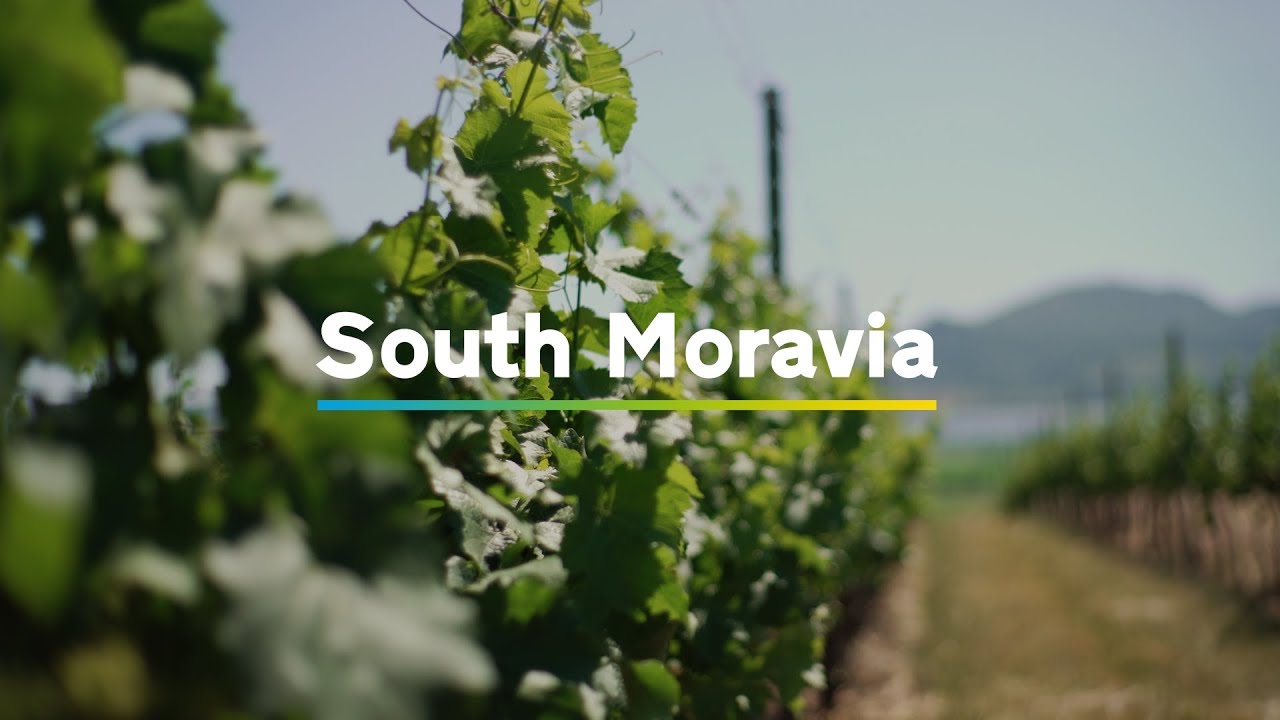 South Moravia in 1 minute