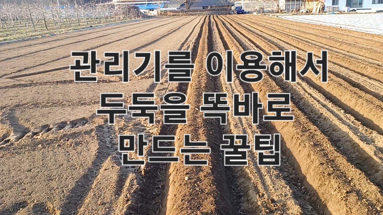관리기로 두둑을 똑바로 만드는 꿀팁을 알려드립니다.