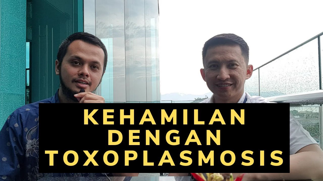 Kehamilan Dengan Infeksi Toksoplasma (Toksoplasmosis)