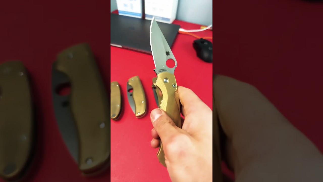 Brass Spyderco #shorts #edc #knife