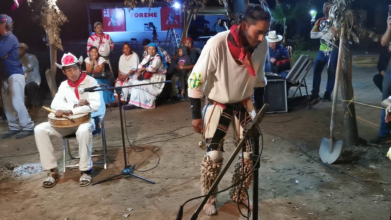 Encuentro Yoreme 2019 [ Pascolas ]