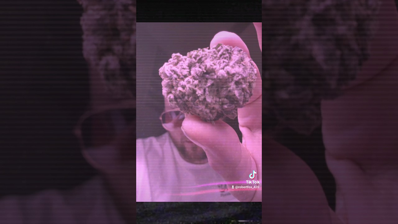 Grow your own Medicine #shorts