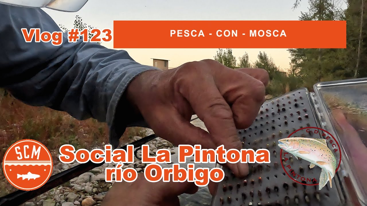 Campeonato Social - Club La Pintona - Río Orbigo Pesca con Mosca - Vlog 