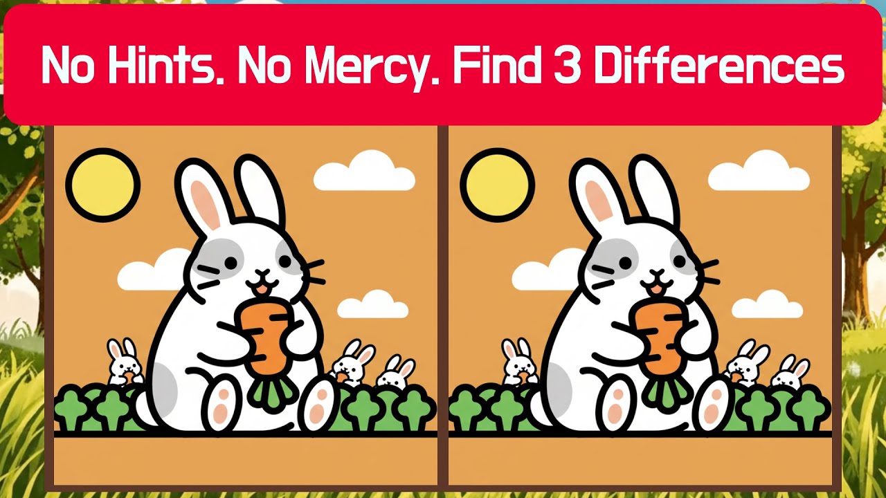 🦉 No Hints. No Mercy. Find 3 Differences | Detective Owl 🦉