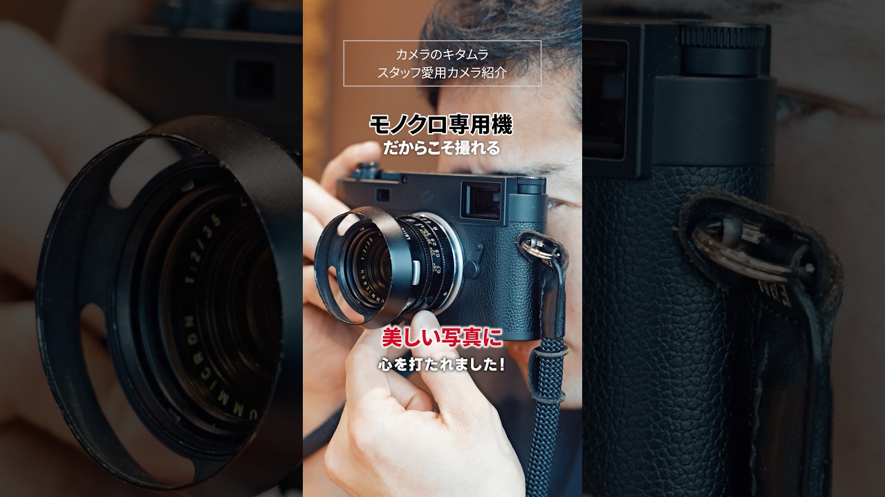 【モノクロしか撮れないカメラ】カメラのキタムラスタッフの愛用カメラをご紹介！ライカ M11 モノクローム #カメラ #ライカ