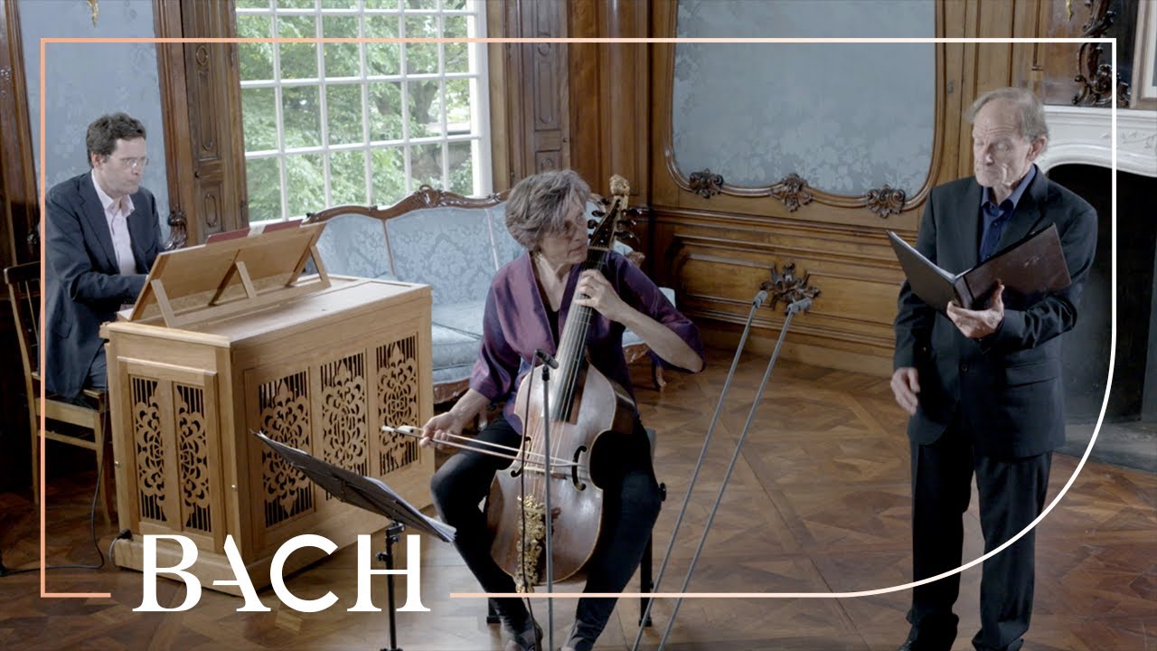 Bach - Komm, süsser Tod, komm selge Ruh! BWV 478 - Daniels | Netherlands Bach Society