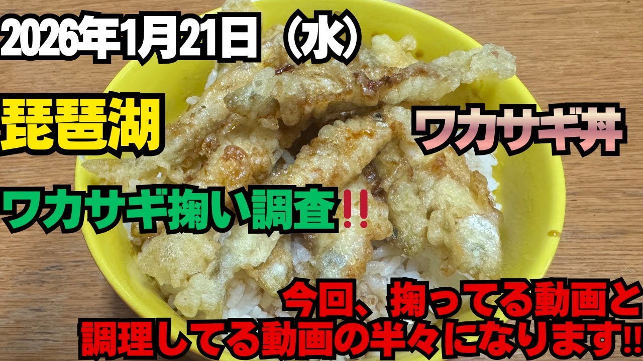 2026年1月21日（水）琵琶湖ワカサギ掬い調査‼と天ぷら動画‼ワカサギ掬い＃琵琶湖ワカサギ掬い‼＃琵琶湖＃ワカサギ