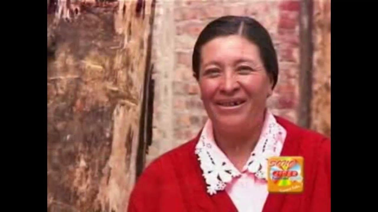 Banda Tipica Los Picaflores del Amor Santa Rosa Huasmin _ La Colegiala Video Official