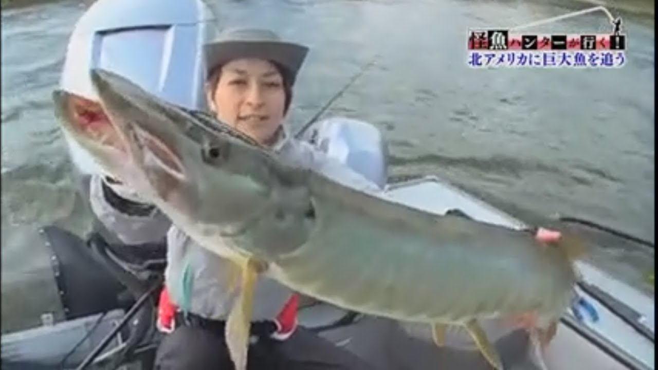 ザ・プレミアム「怪魚ハンターが行く!　北米大陸　3メートルの巨大魚を追う」　2015年11月14日  FULL HD