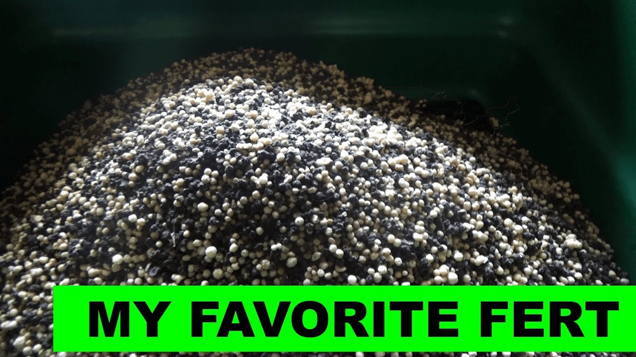 Carbon-X Fertilizer.. Is it worth the hype?