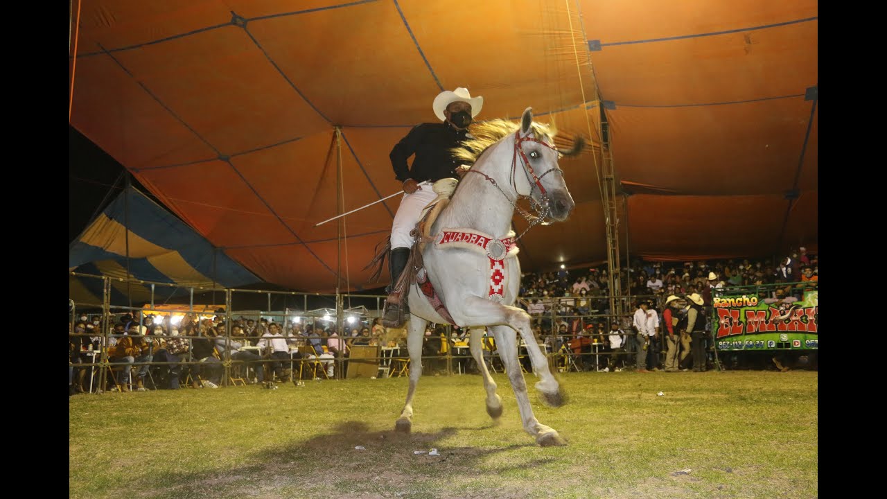 Presentación de la Cuadra Solis Caballos Bailadores 2021