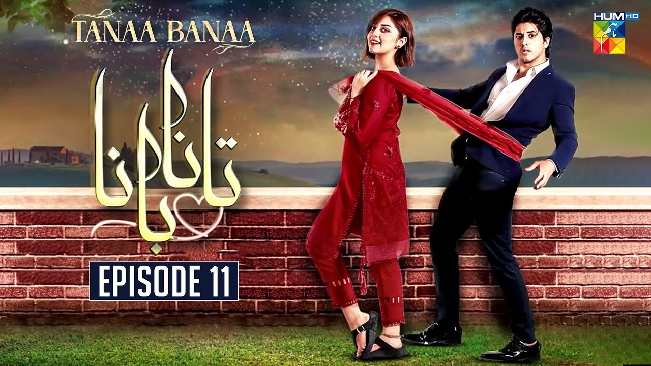 Tanaa Banaa | Episode 11 [DanyalZafar, AlizehShah] HUM TV | Drama